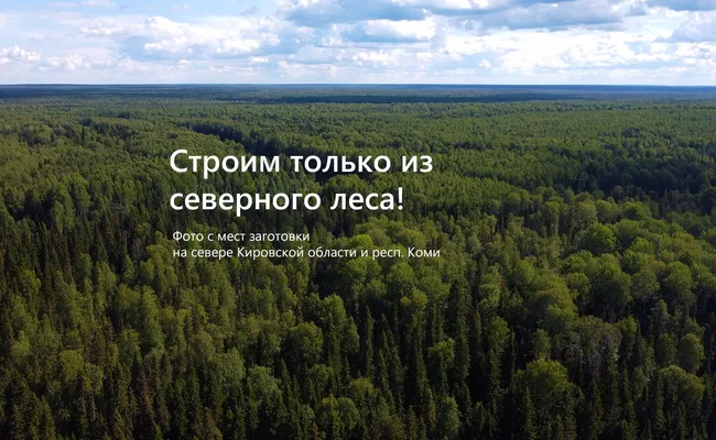 Изображение статьи - Заготовка леса на севере области